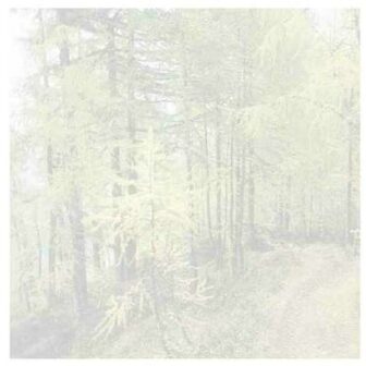 dechamplain – massively modular music